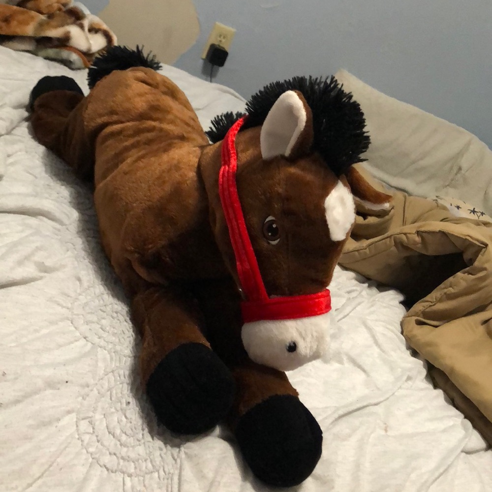 A big horse